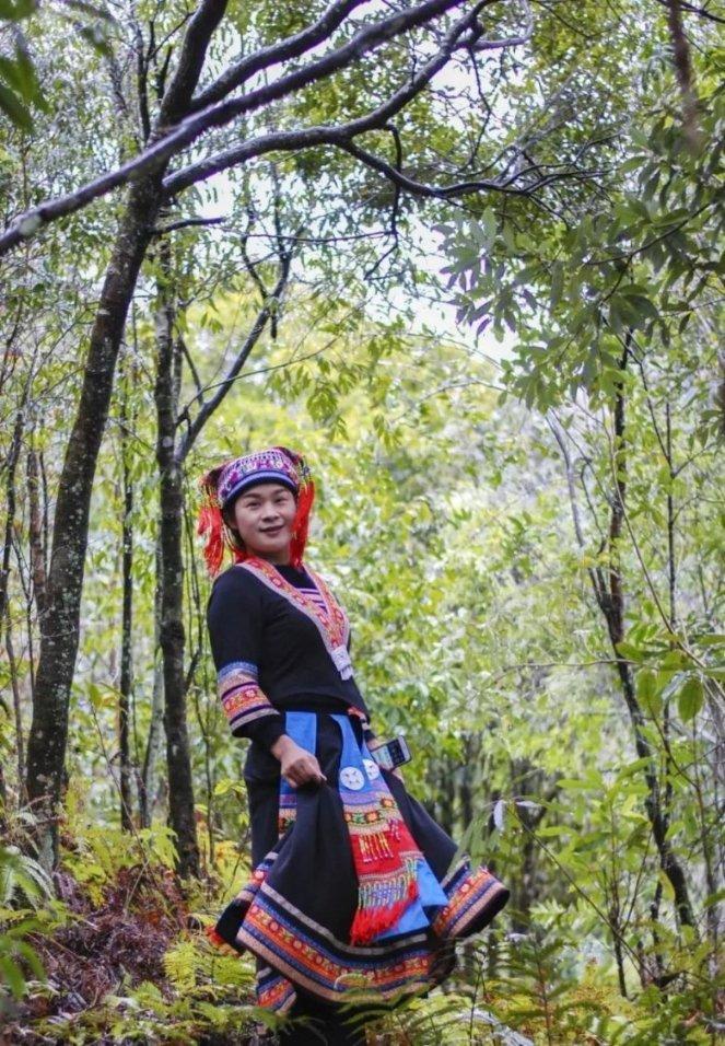 石莲的叶子能种植吗? - 全面解答你的问题