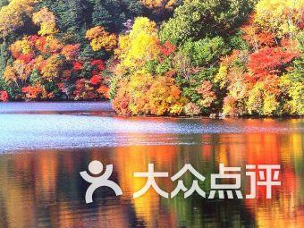 Energy复合推出全新单曲《分合》 新歌榜冠军称霸3榜