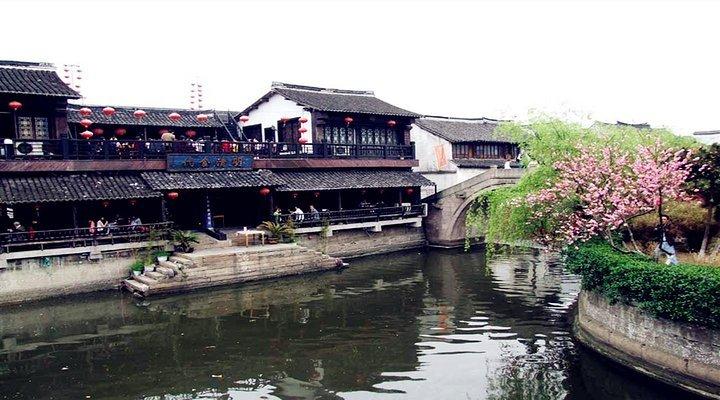 逗小猴开心系列193